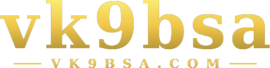 vk9bsa logo